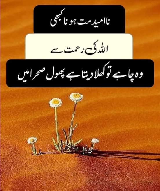 AbsiBasit's tweet image. Beshak