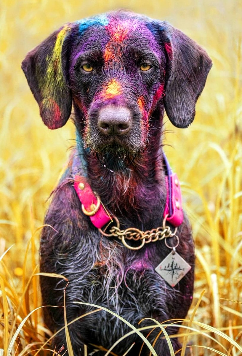 Heidi, Toph & Aang tweet media