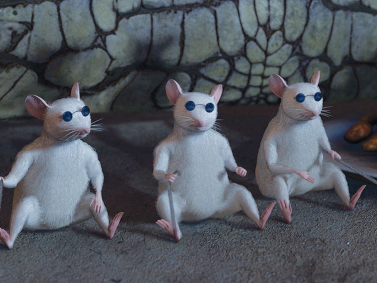 Officialbenkell's tweet image. The judges tonight

#TaylorCatterall