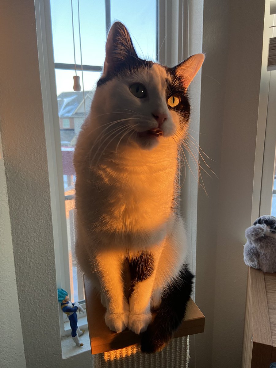 izzy🐢 tweet media