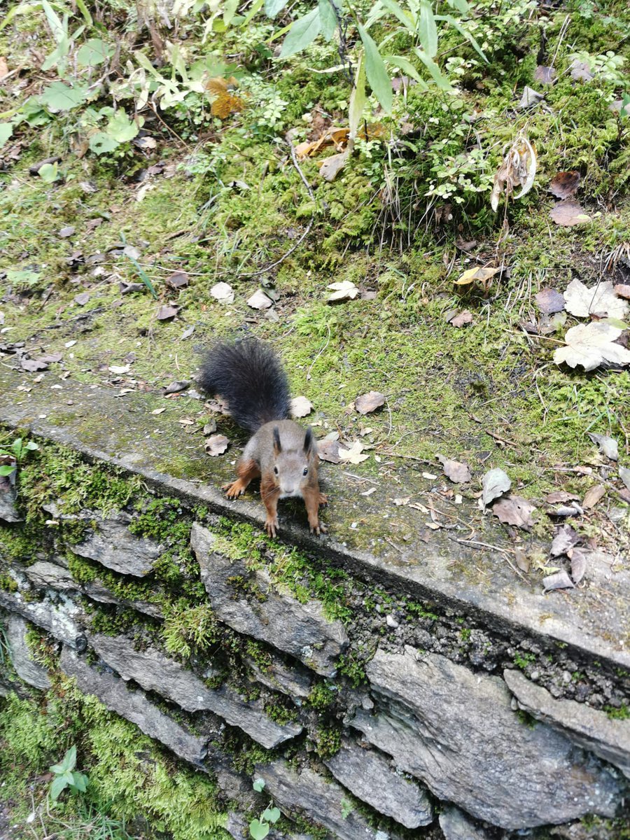 MelissaChainz's tweet photo. was fun with my new friend 😊🐿️ https://t.co/4SY8edB3xX
