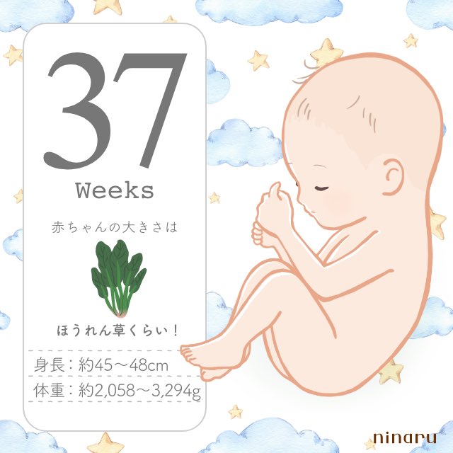 胎動のtwitterイラスト検索結果