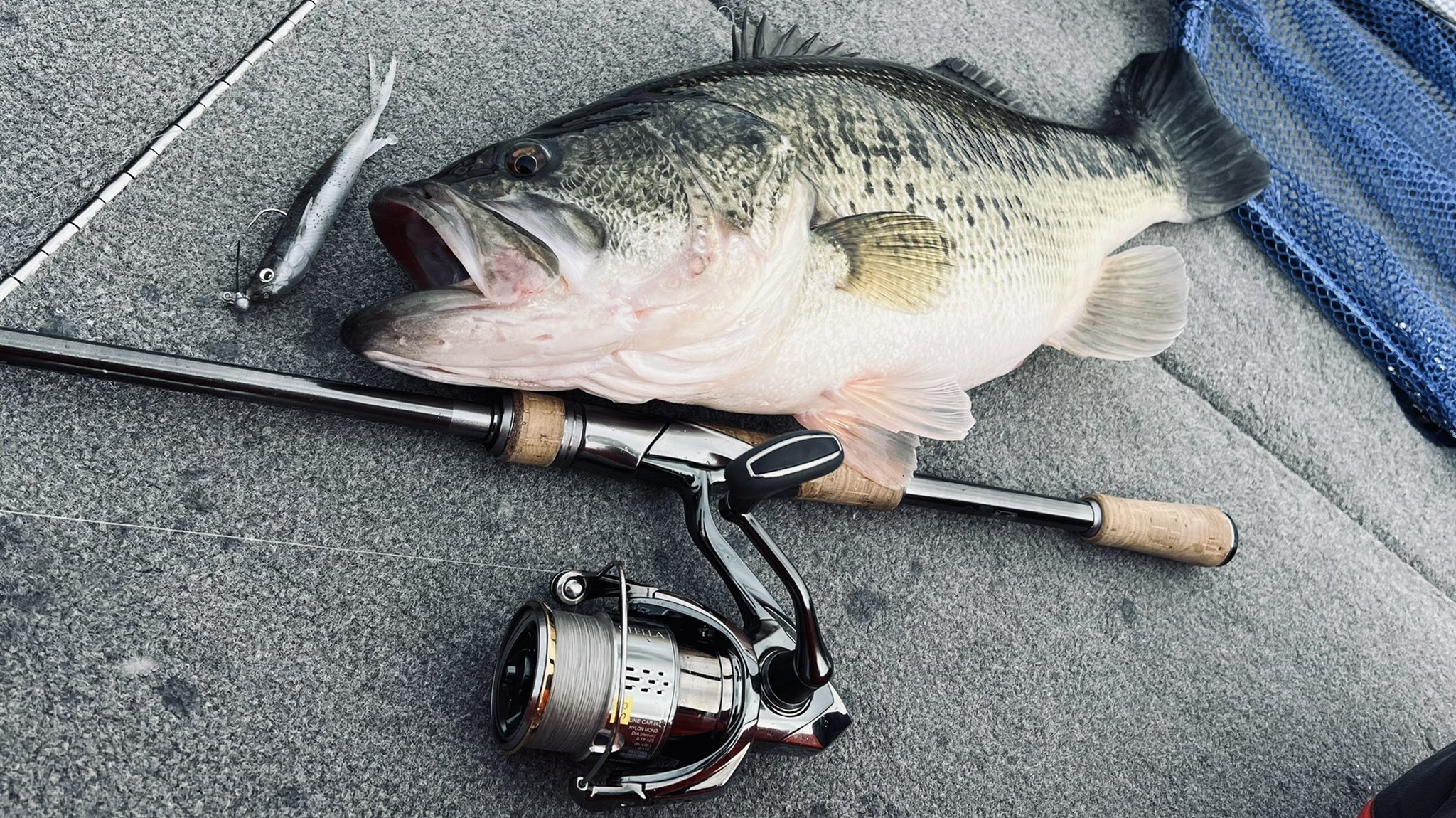 奥田 学 巷で噂のハイブリッドステラ 何がハイブリッドか分かるかなっ 釣具 ルアー 釣り バス釣り シマノ T Co Z60wtcsu5u Twitter