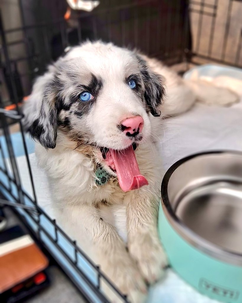 j a c k + k é d a ↟ tweet media