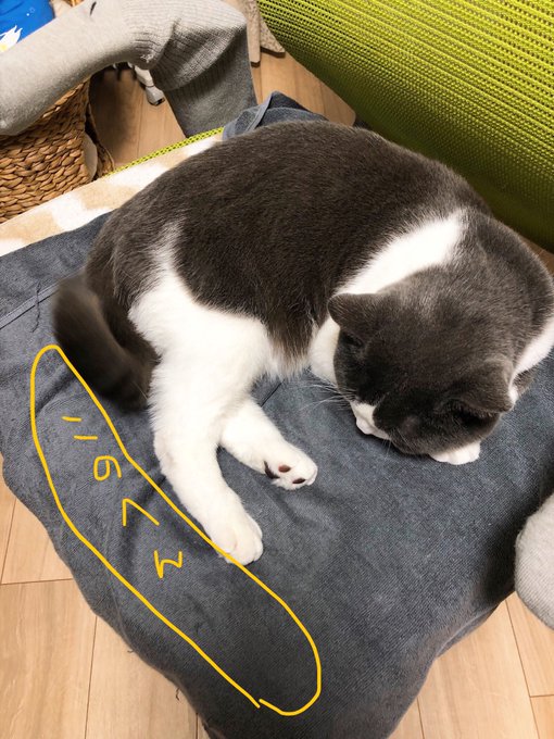 Popular Tweets Of びっけ 極彩の家9巻7 25発売 2 Whotwi Graphical Twitter Analysis Popular Tweets Of びっけ 極彩の家9巻7 25発売 2 Whotwi Graphical Twitter Analysis