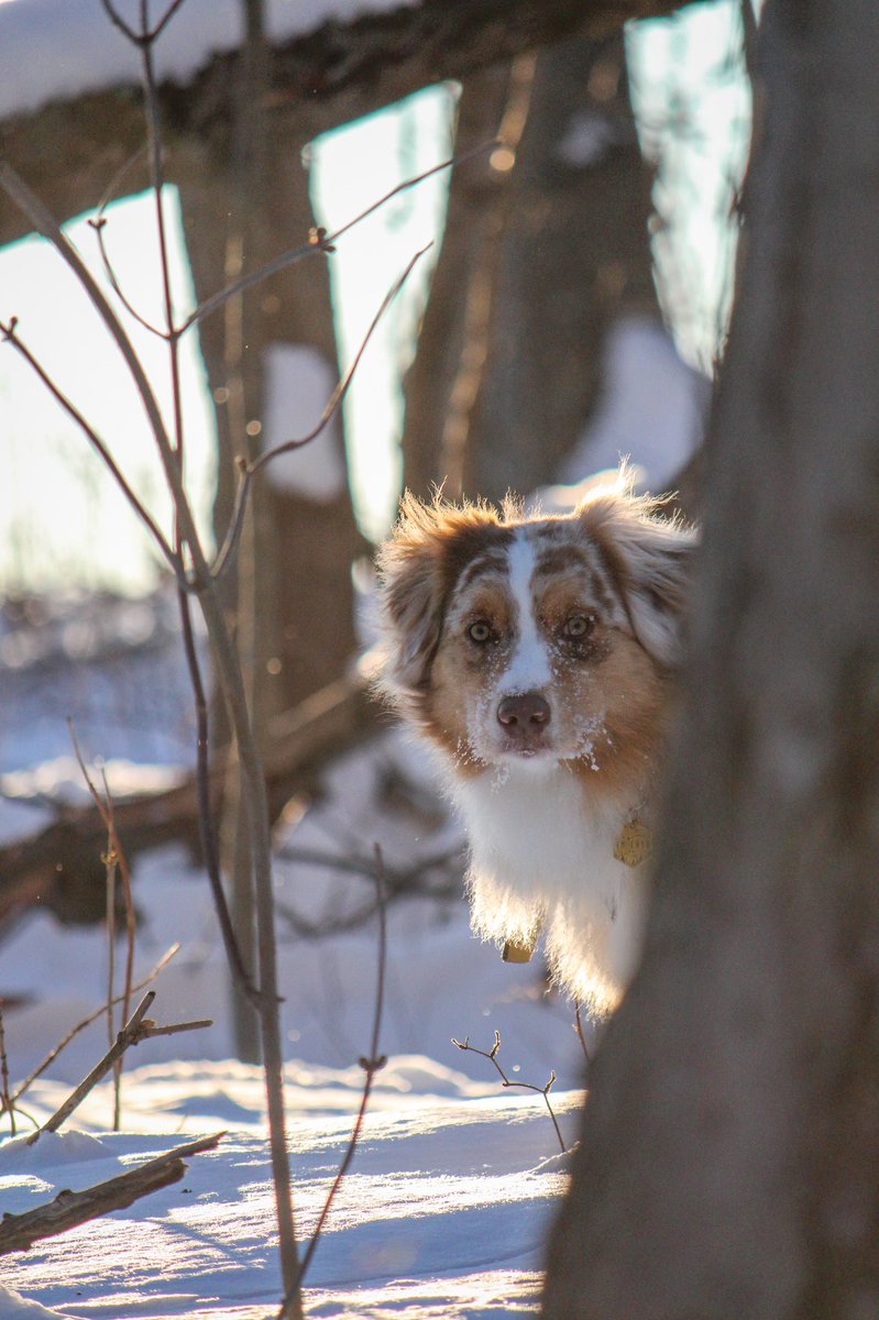 Phoenix & Michaela tweet media