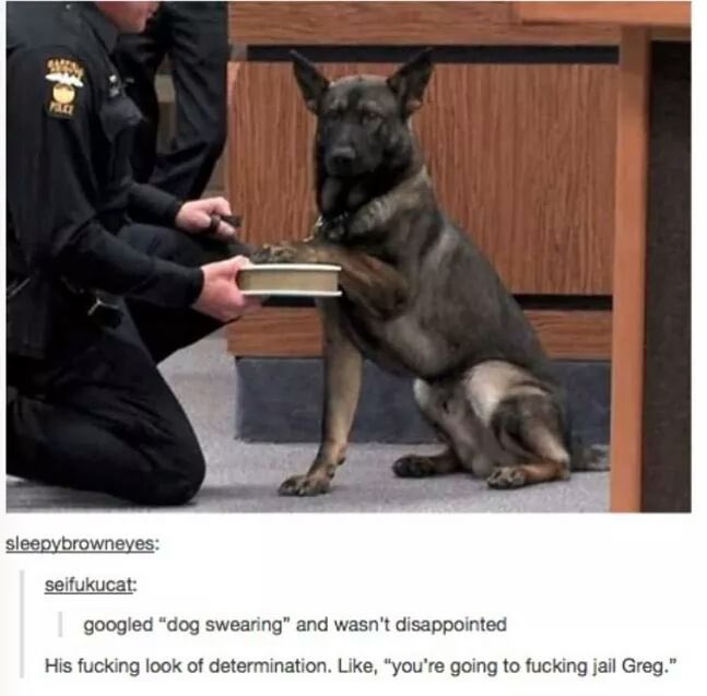 It’s the paw on the Bible for me