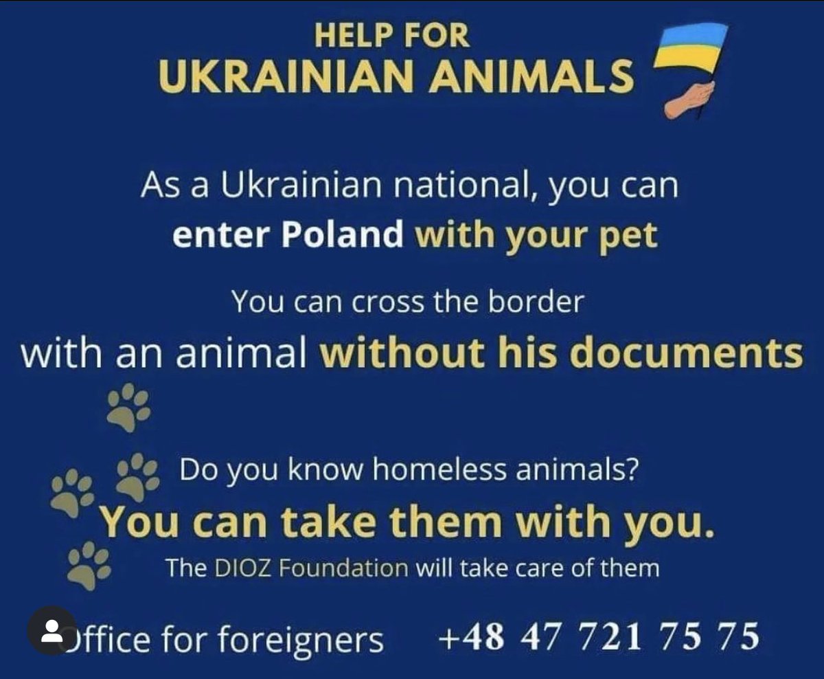 ❗️❗️❗️We personally know many people for whom this was a real issue, so wanted to share this with you. Let’s make sure we leave no man and no pet behind, if you are a Ukrainian and able to take a homeless animal with you, please do so. Let’s save all Ukrainian lives! #UkraineWar