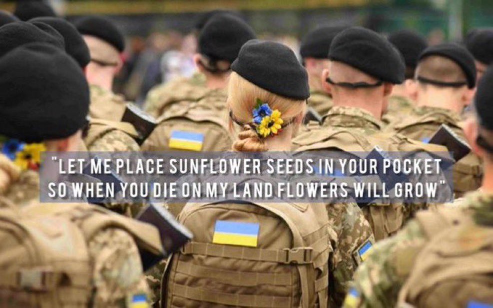 DeAnnaNunez's tweet photo. @ZelenskyyUa https://t.co/VYSQHAqU3r