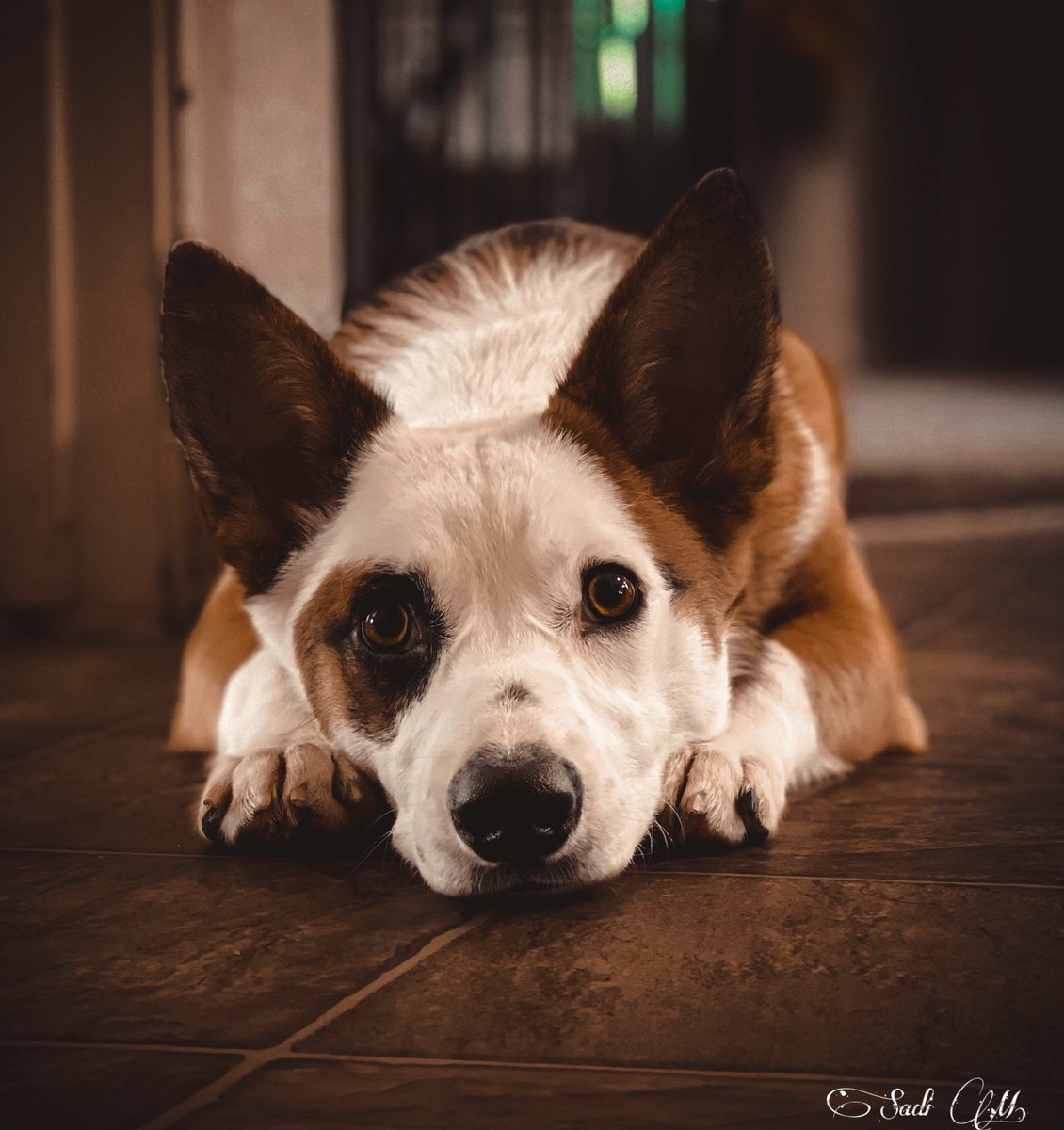 sm.kpop.mylife tweet media