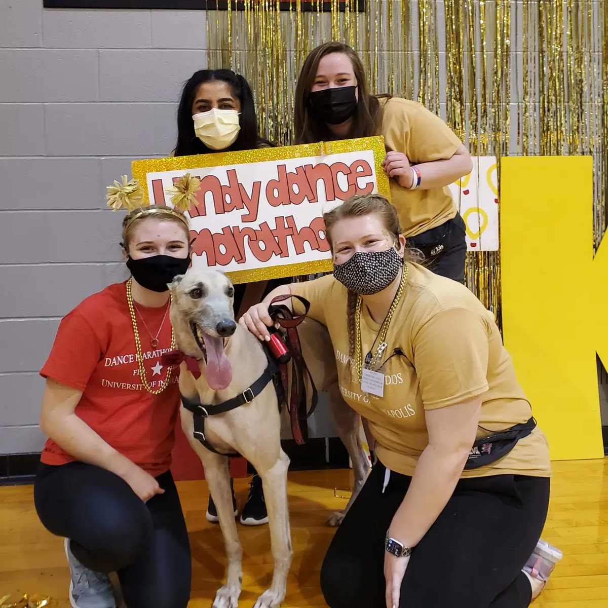 uindyhound's tweet image. Felt like a movie star on the Riley Red Carpet tonight with @UIndyDM! Thank you for such a fun night and for all of your work #ftk! ❤️🐾
#gradypack #rileydm