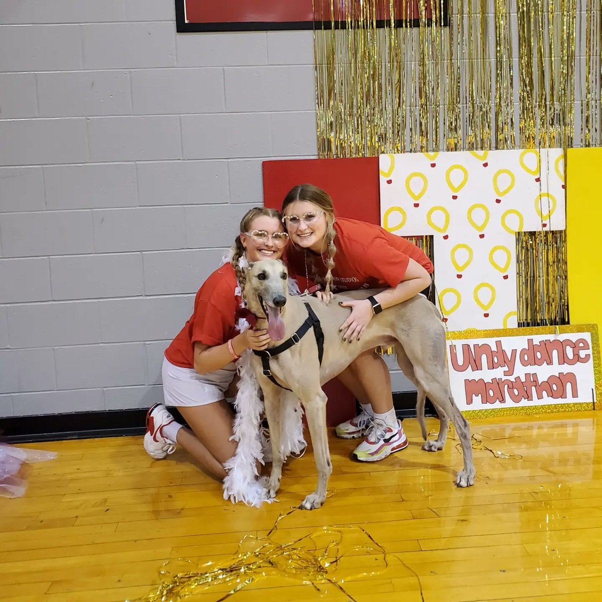 uindyhound's tweet image. Felt like a movie star on the Riley Red Carpet tonight with @UIndyDM! Thank you for such a fun night and for all of your work #ftk! ❤️🐾
#gradypack #rileydm