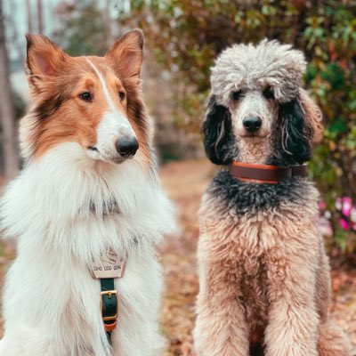 simplybe_'s tweet photo. #NewProfilePic https://t.co/UdZNHufMrI
