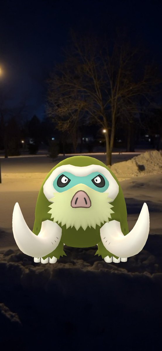 RayahRaye's tweet image. #PokemonGOTour Playing all day n the wind, snow, and cold.