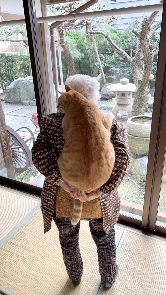 おばあちゃんの背中は？猫背で猫にとっては心地がいい！