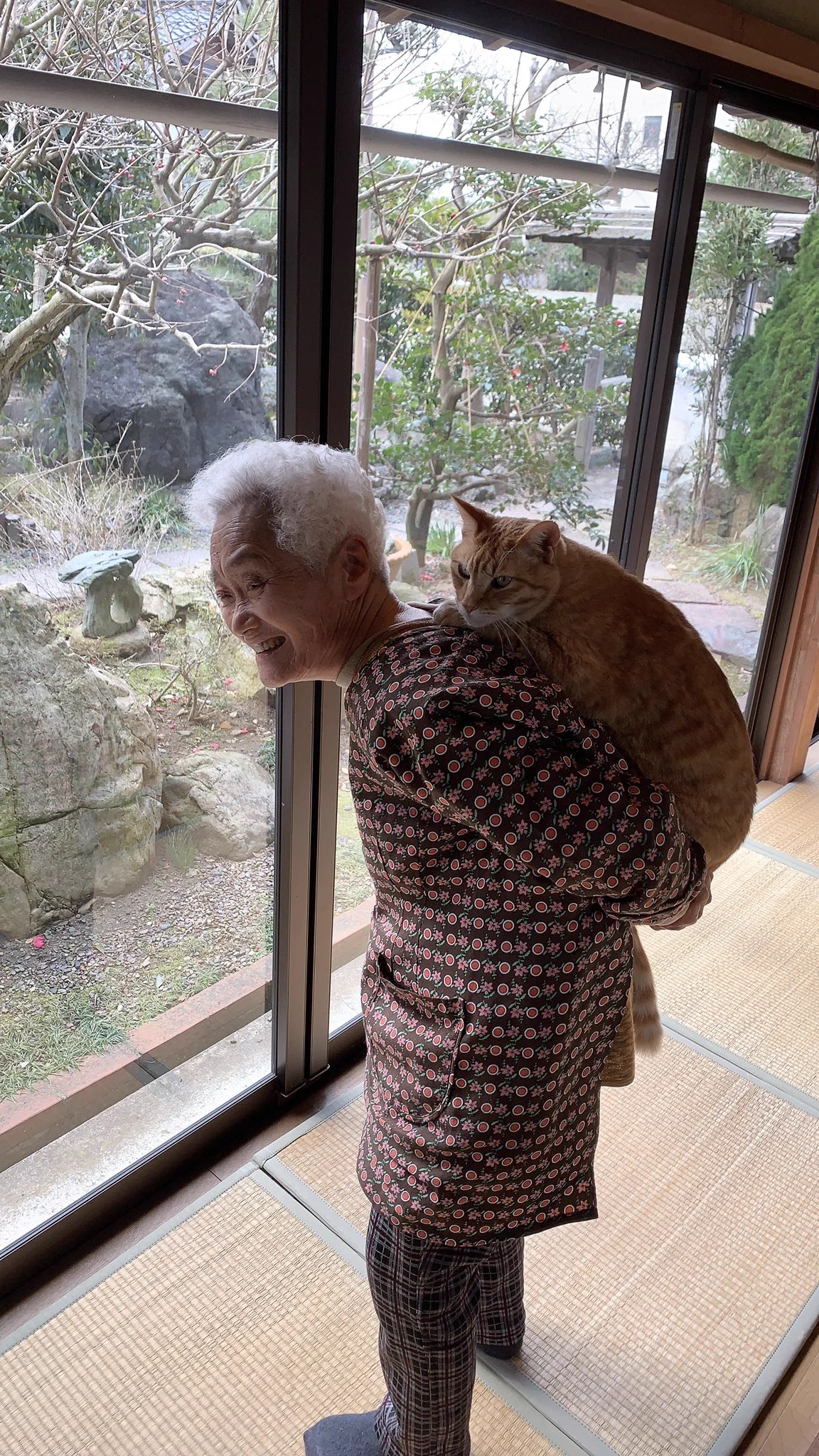おばあちゃんの背中は？猫背で猫にとっては心地がいい！