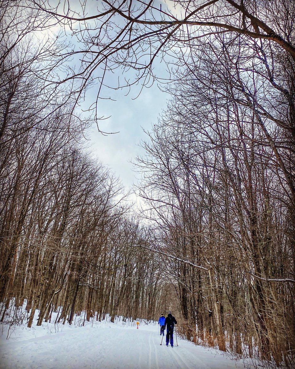 AimeeLewisPR's tweet photo. Winter’s best #overlook views and #xcski at #harriethollister #thisisroc #roctopshots https://t.co/kQChsTDyxW
