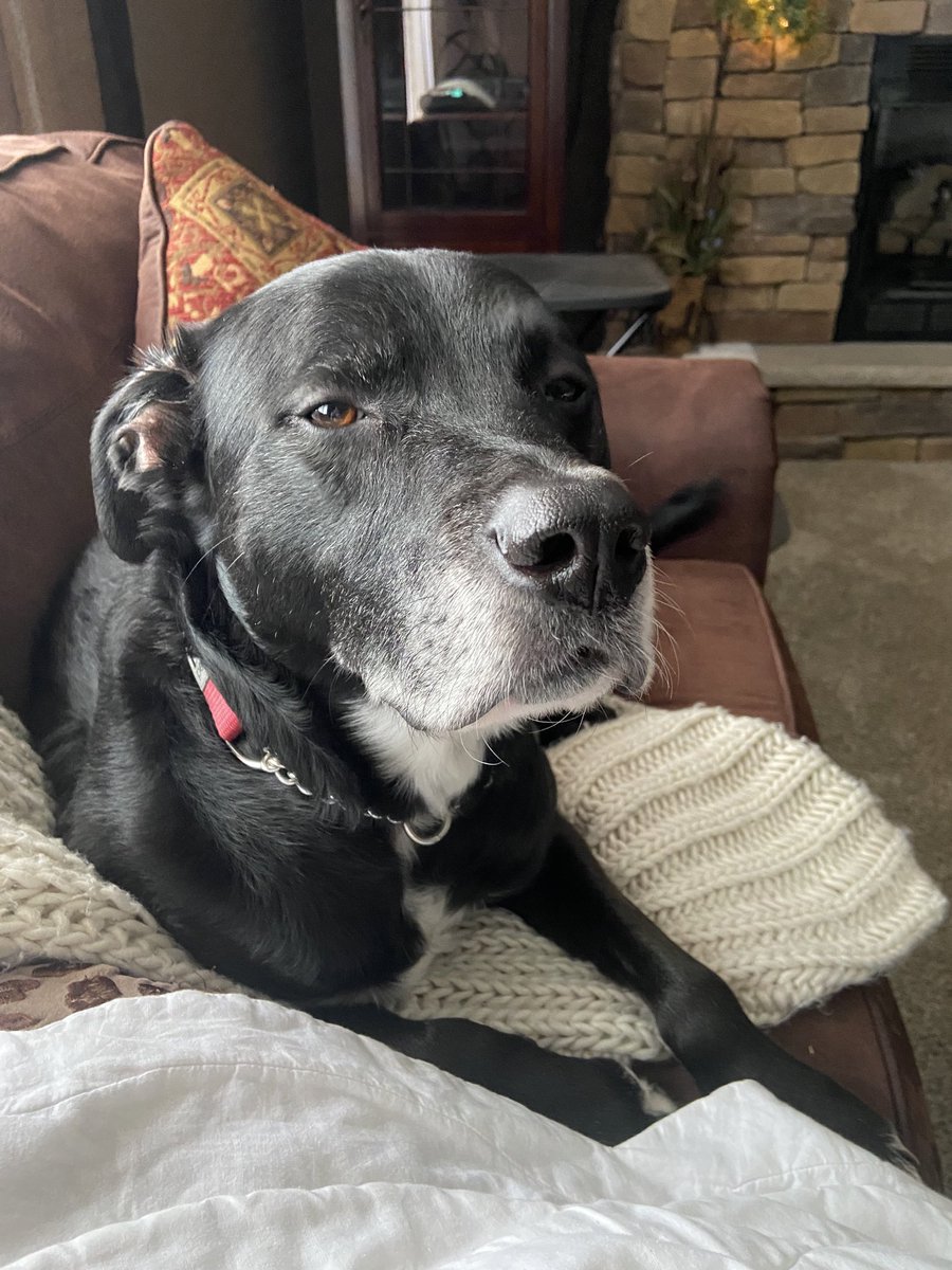 lschultzkie's tweet photo. @JRMotorsports https://t.co/3KD6j3hJ81