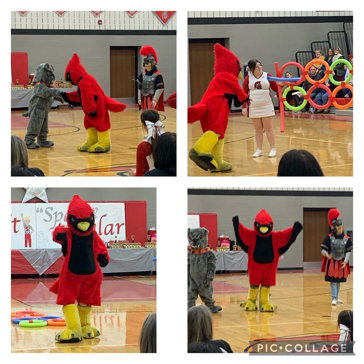 Couldn’t miss the opportunity to recognize this senior for all of his school spirit and dedication! Love that Card!! <a href="/ShsSparkles1/">Springfield Sparkles</a> <a href="/MentorAthletics/">MentorAthletics</a> #OnceACard