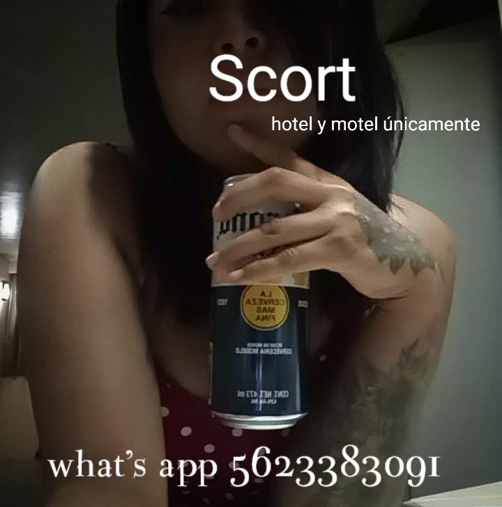 Iris Scort San Luis potosi tweet media