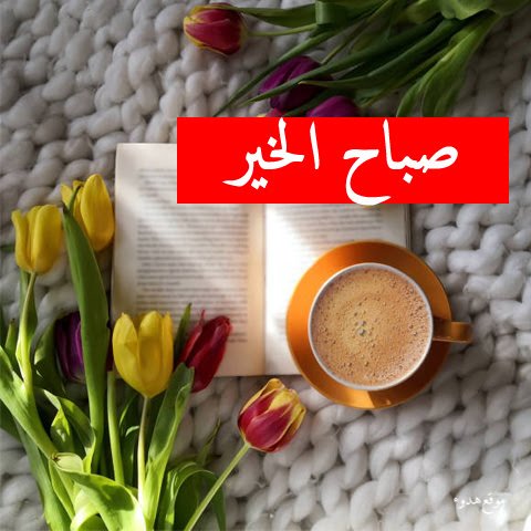 #صورة_ملف_شخصي_جديدة