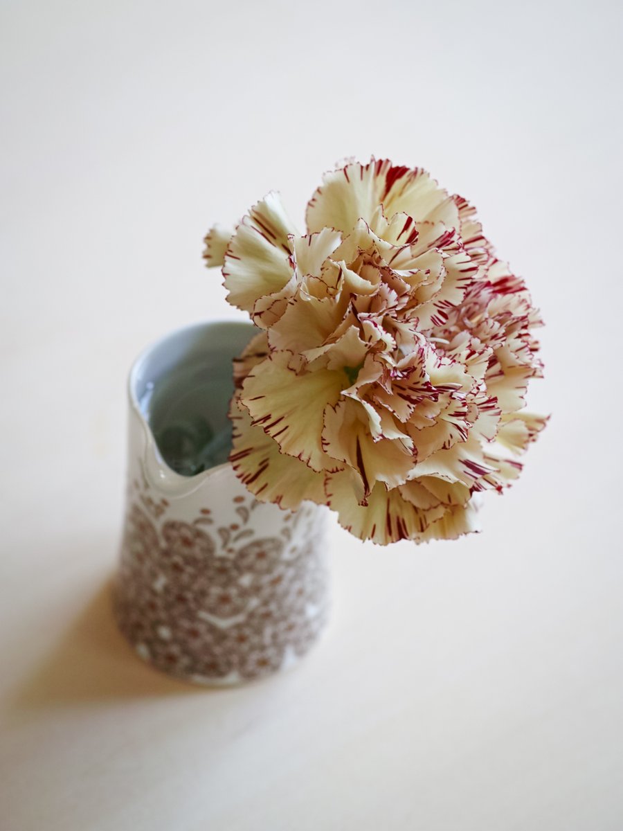 母の日の花はいつ買うのがベスト タイミングや花を長持ちさせるコツ 気になるコトあれこれ