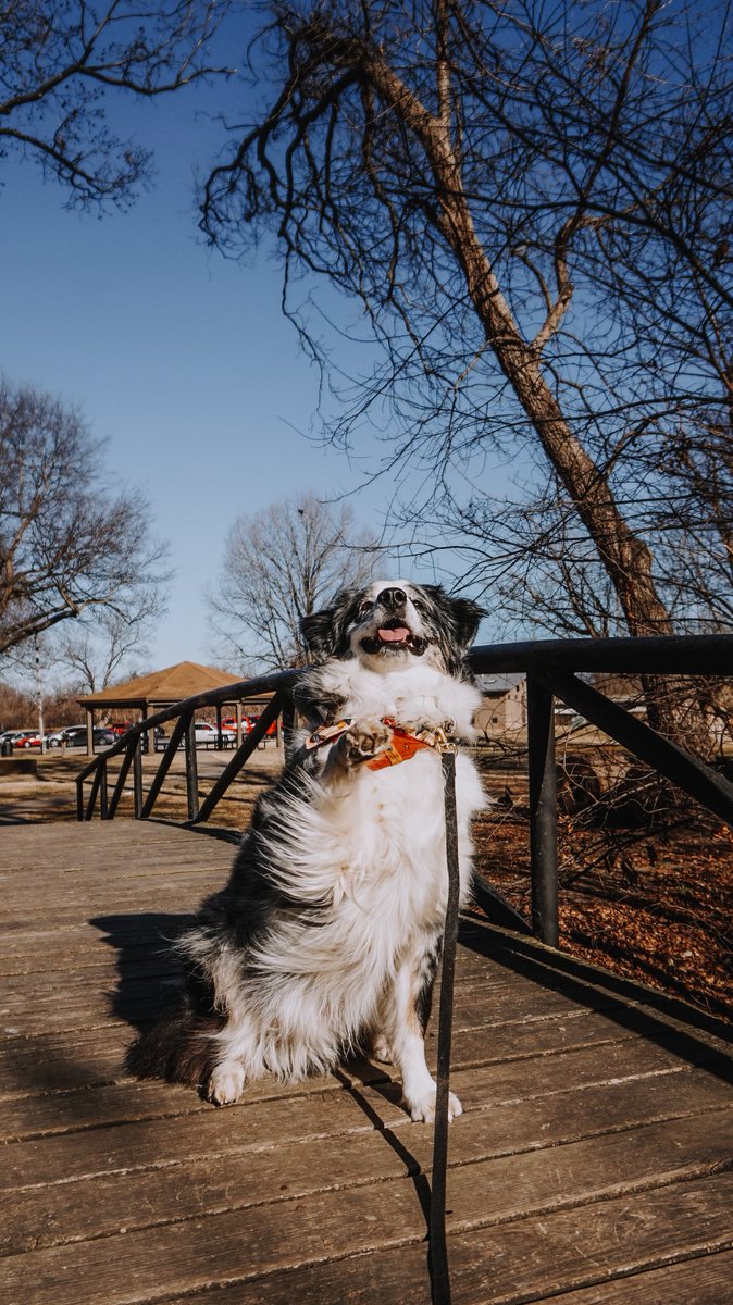 Trooper | Shay tweet media