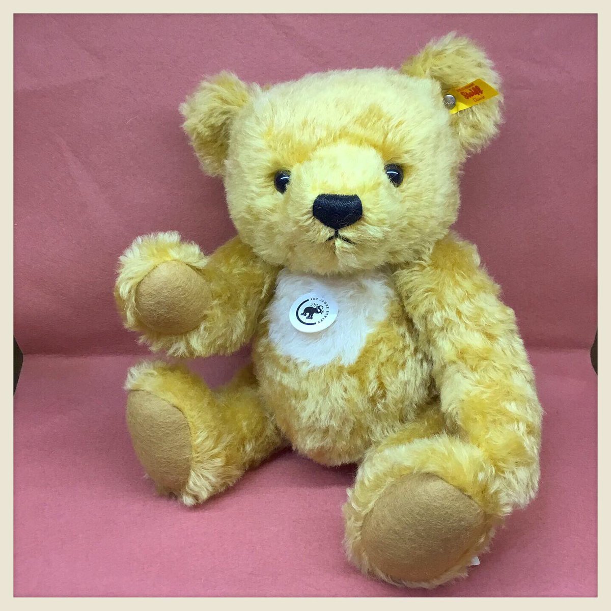 stieff シュタイフ テディベア モーリー シュタイフ 愛子様 誕生記念