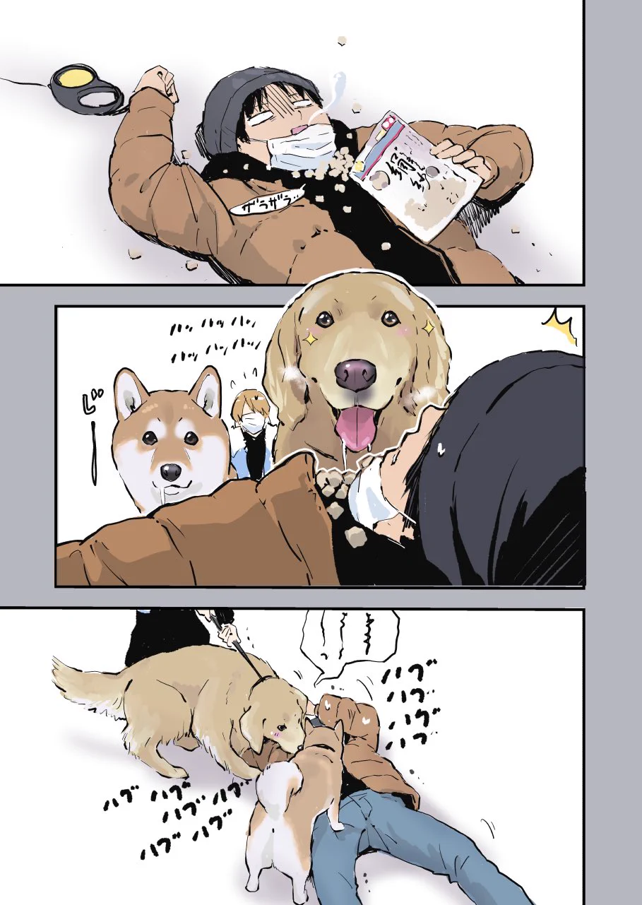 冬の朝の散歩は危険？犬の散歩中に起きた悲劇www