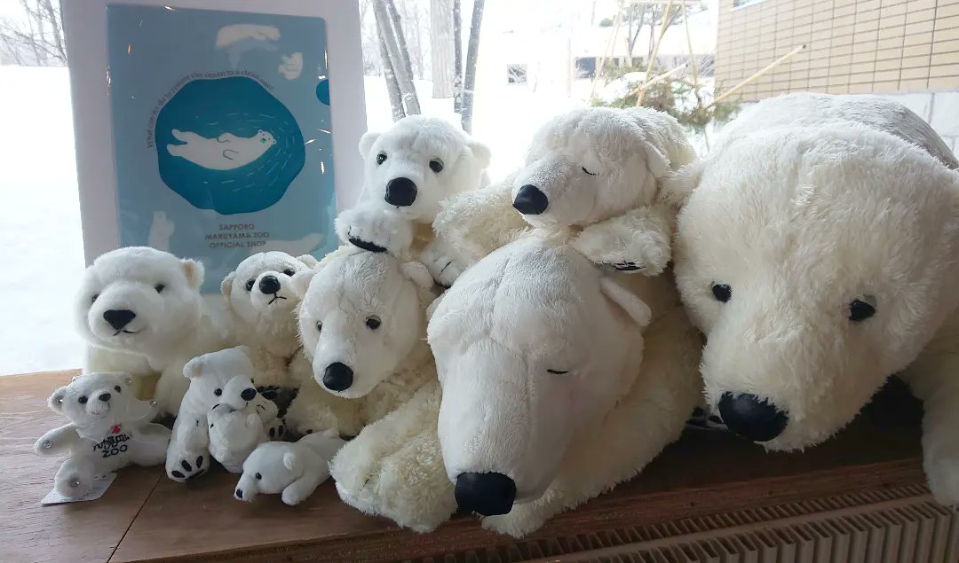 円山動物園オフィシャルショップ Kidspromotion Twitter
