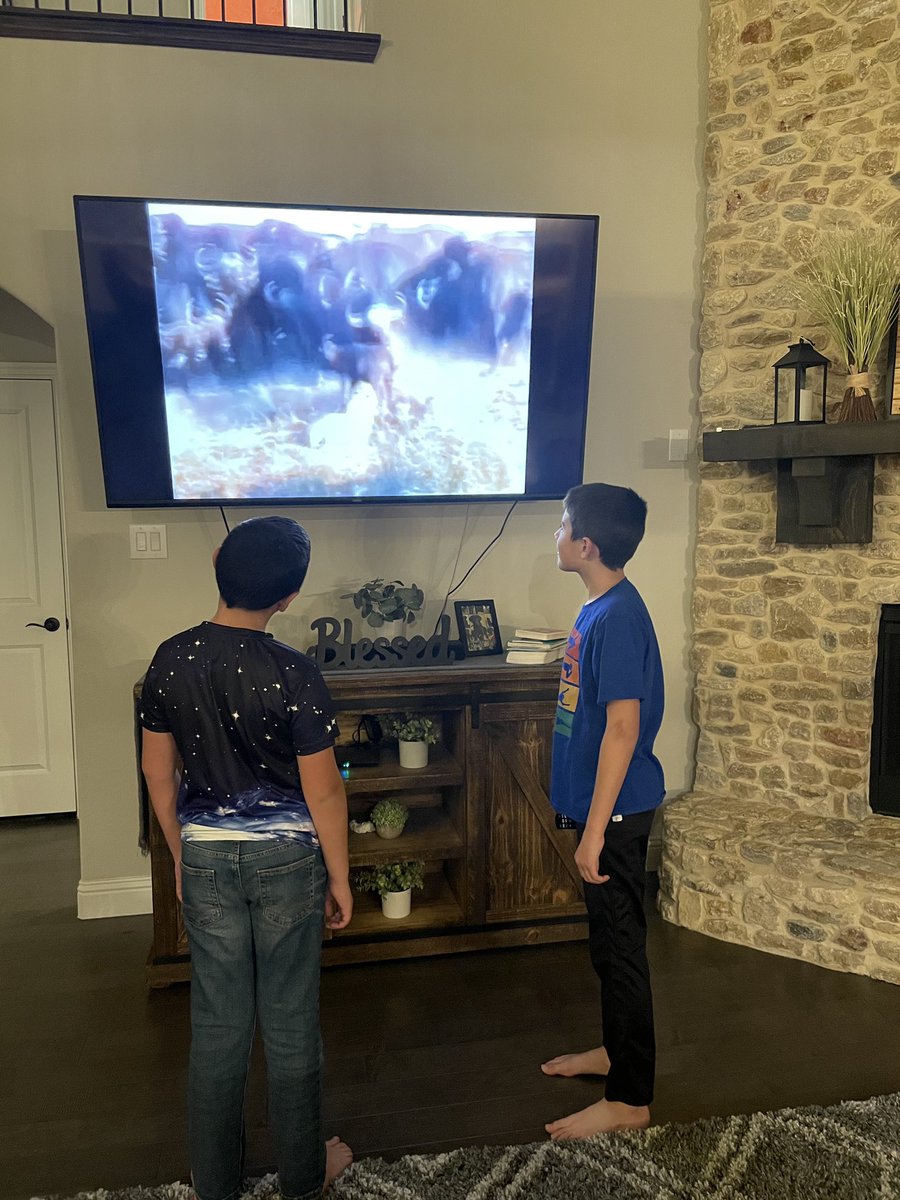 willjennrich's tweet photo. @LPConnect two boys transfixed by the analogy of a herd of water bison coming to the rescue of one peeled off by a pride of lions. We decided to show them Rocky IV after which elicited a similar response and also felt very applicable to today. Ha ha https://t.co/MWXEo4A2dv