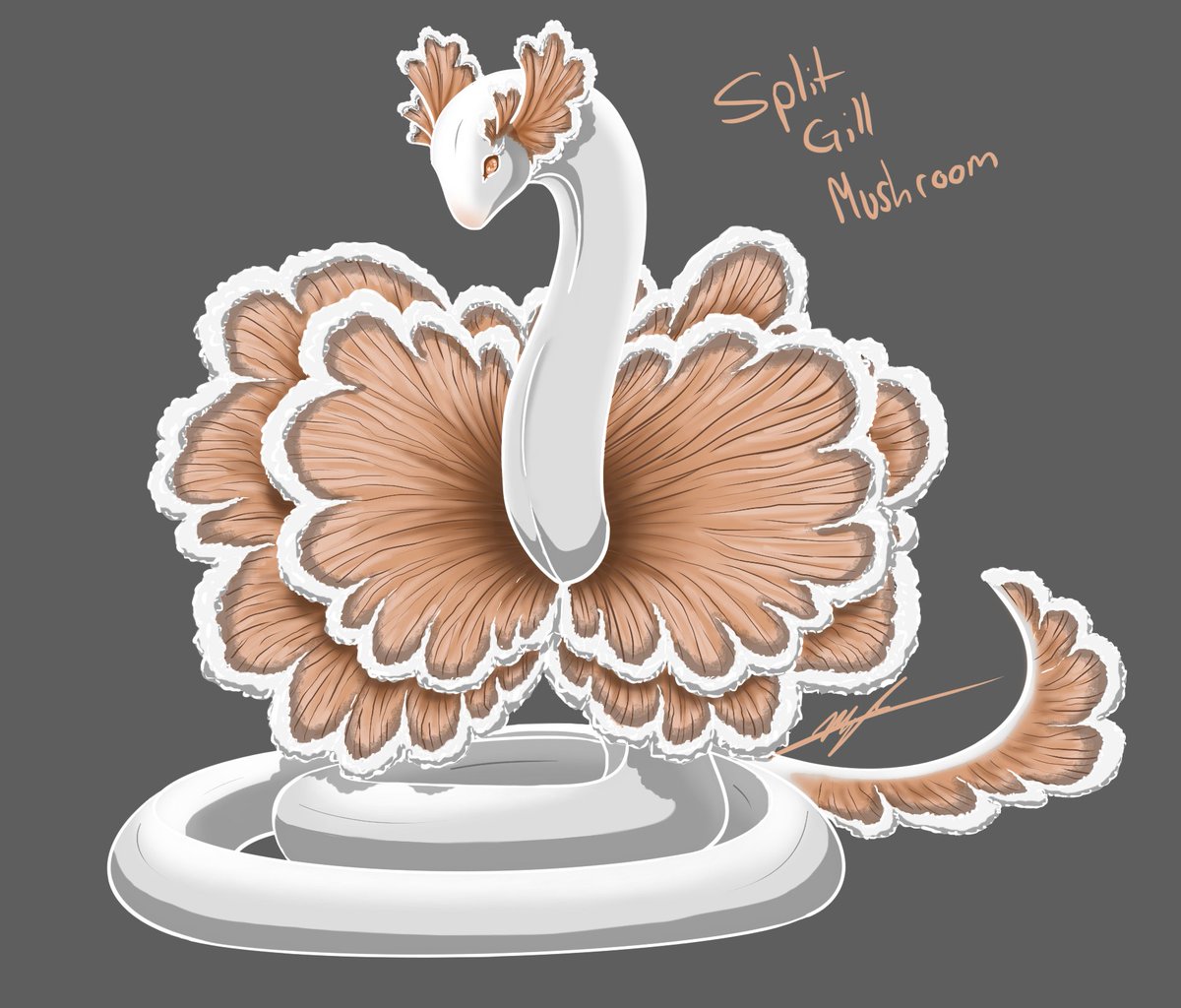 FarisFlare's tweet photo. Might be my last #Funguary post (I gotta work on other projects!) but I just had to do one for the pretty & cute category ❤️ Wanted to try white lineart and that made it look very 'soft'. ☺️
#mushroom #splitgill #digitalart #snake #dragon #fantasy https://t.co/a4nlnDp7b1