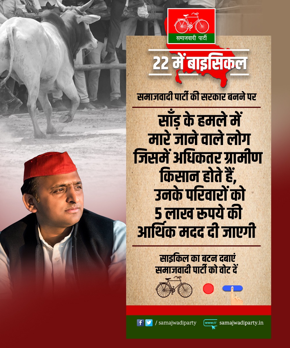 samajwadiparty's tweet photo. समाजवादी सरकार बनने पर साँड़ के हमले में मारे जाने वाले लोग जिसमें अधिकतर ग्रामीण, किसान होते हैं उनके परिवारों को 5 लाख रूपये की आर्थिक मदद दी जाएगी। https://t.co/572WPplxIl