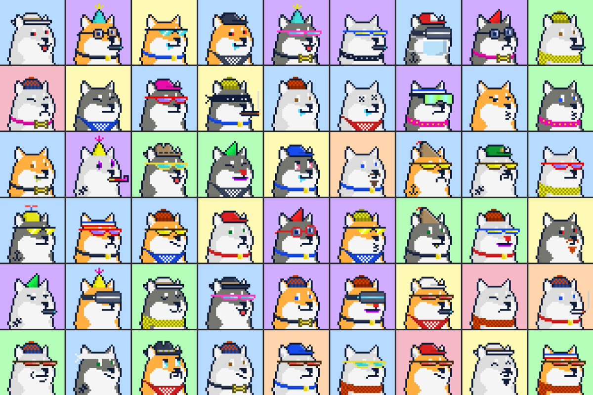 doppelNFTs's tweet photo. Also still holding my shibs 💎👏 @SuchShibas https://t.co/14SG8mvF9T