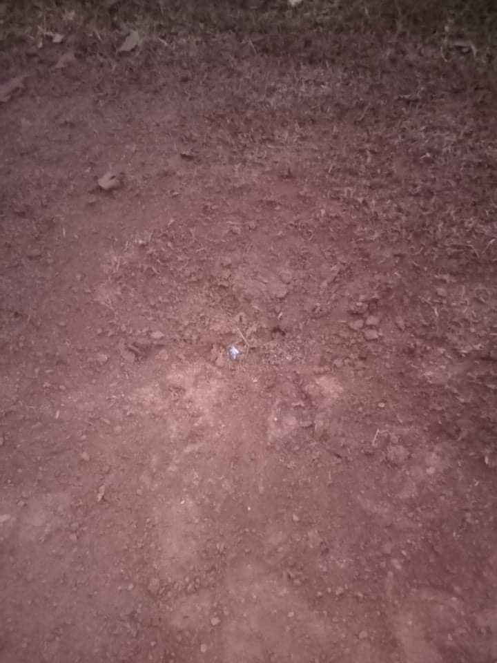 spring21MM's tweet photo. At around 6 pm on Feb 25, Military Terrorists + SAC's BGF Randomly Fired Heavy Artillery Shells in #Takaungbo village tract,#Hpa_an Tsp, KNU Controlled Area—Injuring Saw Phar Larbay(50) in the right hand &amp; Saw Pyae Sone(14) in the chest.
#2022Feb27Coup 
#WhatsHappeningInMyanmar https://t.co/EGMtXk2wa5