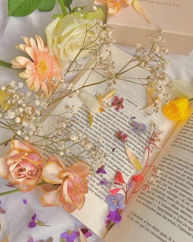 mimixwlls's tweet photo. abro hilo sobre cosas que hacer cuando quieras autolesionarte <3 https://t.co/dlXCJZ0kbR