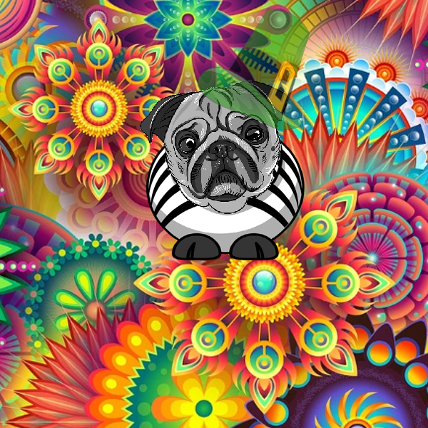 PugObsessionNft's tweet photo. Today it´s our launch date😱💯 After some months of work today it´s the day that we can offer to you our collection where you can buy your pug 💕
#nft #NFTGiveaway #NFTCommunity #NFTartist #nftcollectors #NFTCollection #nfts #puglife  #Metaverse #puglovers #OpenSeaNFT #NFT #NFTs https://t.co/HBewURAV3y