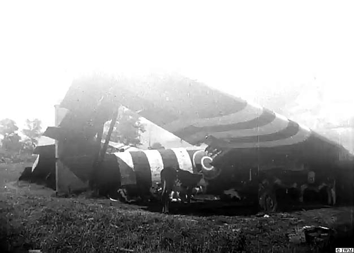 (July 1944.) Cows have found shade below the wing of one of the three gliders near Pegasus Bridge. #WW2 #HISTORY
