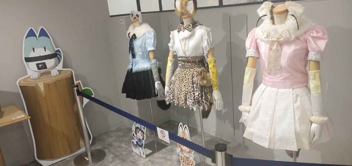 覗いてきました 