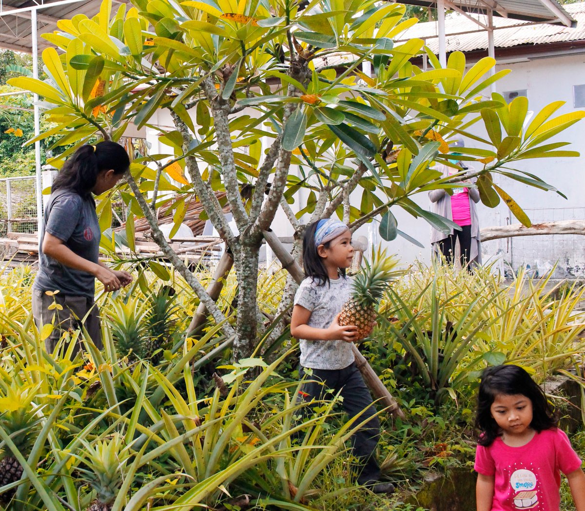 happyhiveinc's tweet image. This is the other nature call that we like to answer — nature walks 🏃

#happyhive #nature #restfulweekend