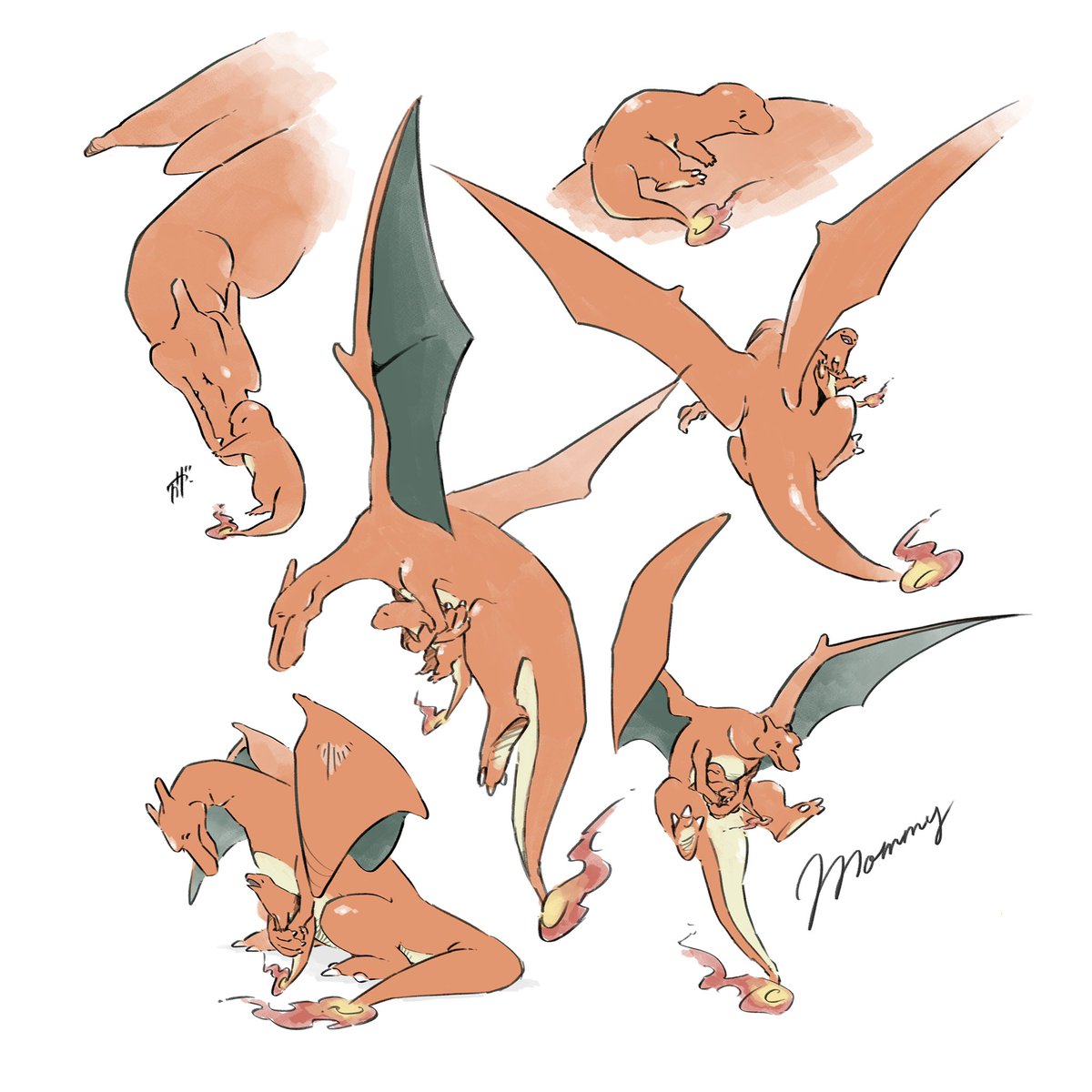charizard pokemon (creature) flame-tipped tail fire no humans white background flame multiple views  illustration images