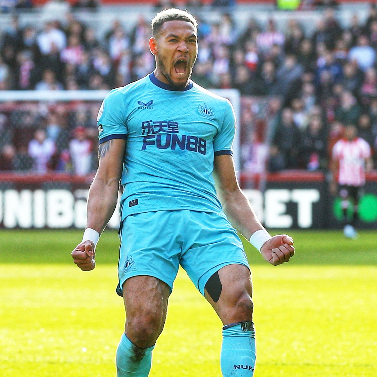 pashaboo's tweet photo. @stevewraith Wouldn't swap him for any midfielder in the world right now. Wouldn't sell at double the £40m. His enthusiasm, his endeavour, his work rate is 2nd to none in the Premier League. He was an uncut diamond but my God just look at him sparkle now. @NUFC @ghodoussi @mozza99 https://t.co/zLkwngqhdC