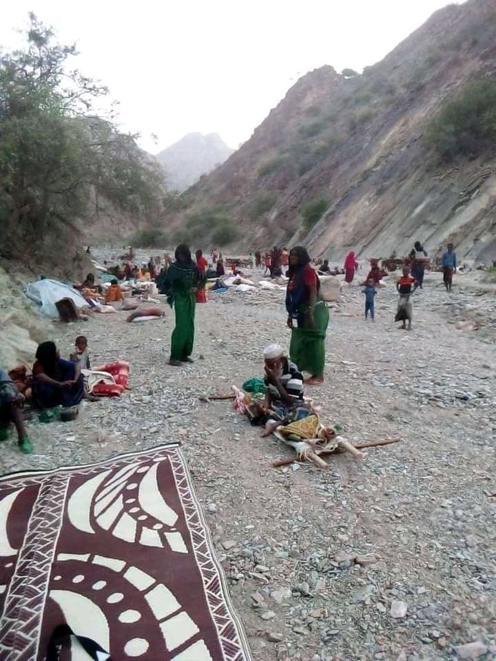 Mohammedkadir09's tweet image. Still now The peoples of Afar in Northern zone Under Dire situation since more than Month.
Federal government is Continous taking silent from Afar.  The size of IDP are increasing day to day because of the Tplf Shelling heavy artillery weapons by targeting civilian.
#AfarMassacre