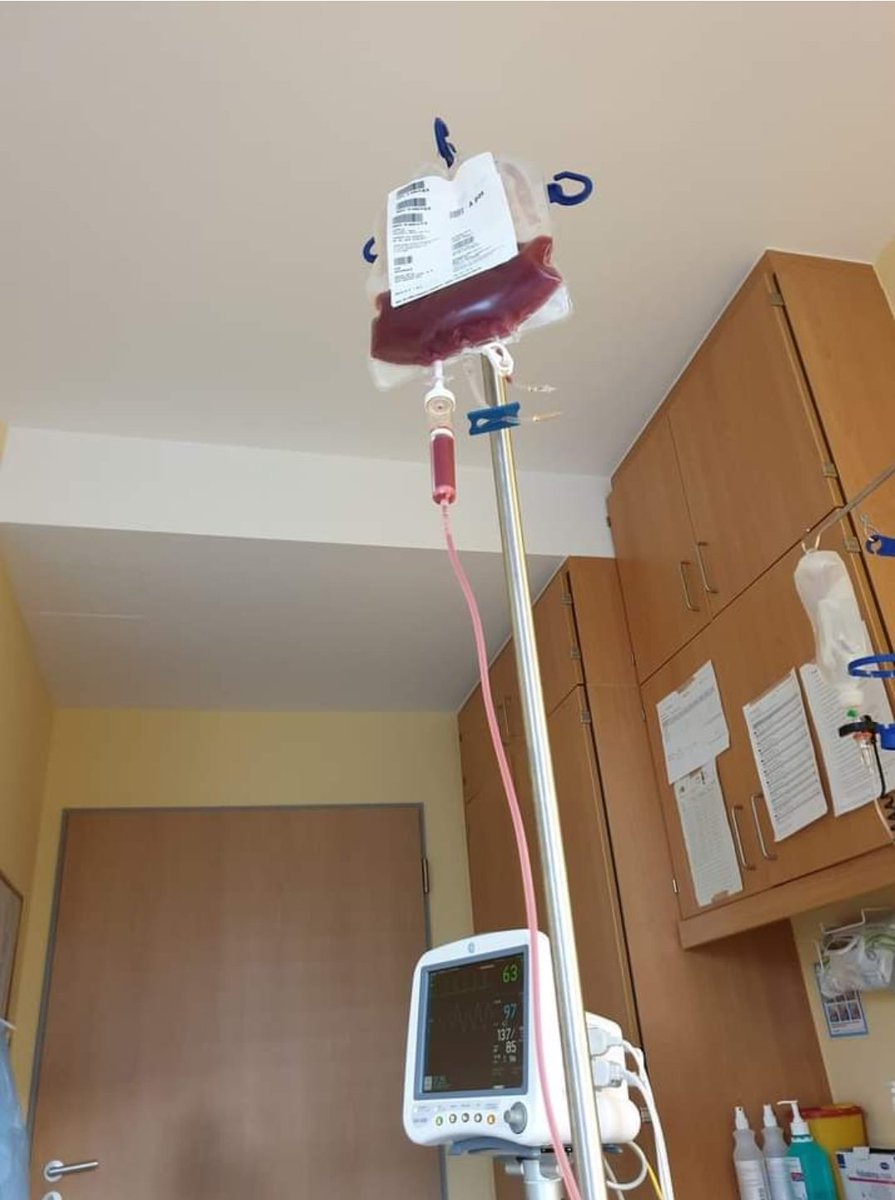 Heute feiere ich meinen zweiten Geburtstag, der mir meinen dritten Geburtstag am 01.10.2021 ermöglichte. Es scheint derzeit, als ob die Stammzellen meines Neffen die Leukämie besiegt haben. 😊 Ich bin sehr dankbar.