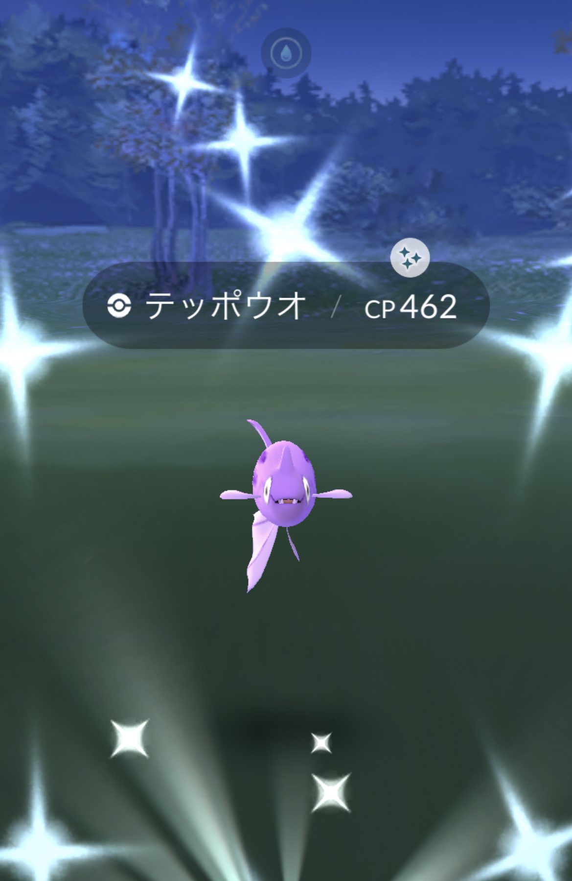 Kira 昨日出なかったのに今日でたぁー Kiraリン 嬉し Pokemongo Pokemongo ポケモンgo テッポウオ色違い テッポウオ 色違い T Co Skiarzta4j Twitter Kira 昨日出なかったのに今日でたぁー Kiraリン 嬉し Pokemongo Pokemongo ポケモンgo テッポウオ色違い テッポウオ 色違い T Co Skiarzta4j Twitter
