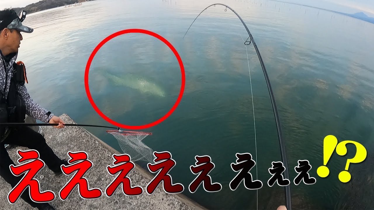 しま 釣りいろは シティーコムtv Shimaaaank15 Twitter