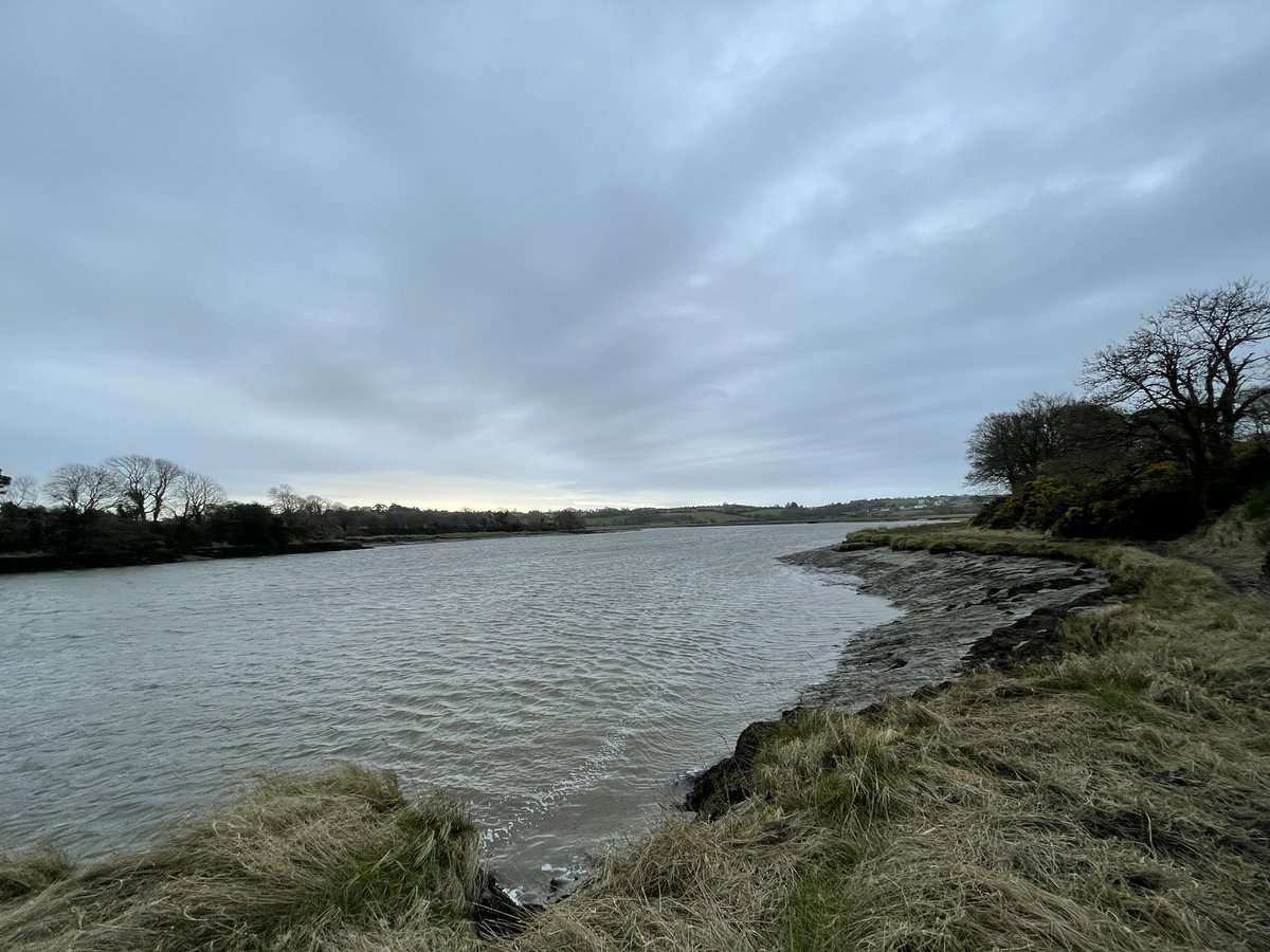Missed this piece of heaven the last two weeks 💚 
#goodforthemind #RiverSuir #Kingschannel #Waterford 💙🐾