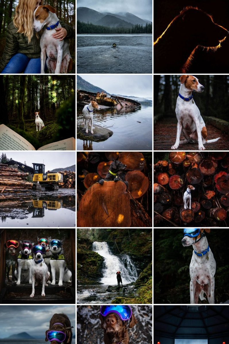 Heidi, Toph & Aang tweet media