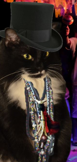 MrWuggums's tweet photo. spyboy heri here.. congrats to @shebeenqueen66 todays winner of @ZappsChips voodoo!.. we will dm mew for shipping info.. if mew didnt win today tomorrow is another chance.. just include #FreeNoms & #CatCarnivale to enter! https://t.co/RqV6KrwDWx