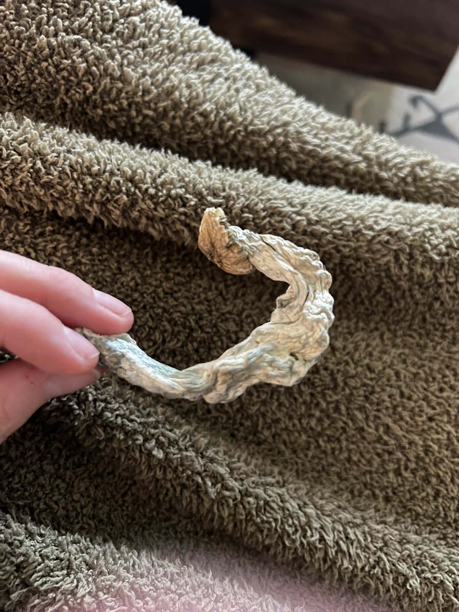 Ashtoshii tweet media